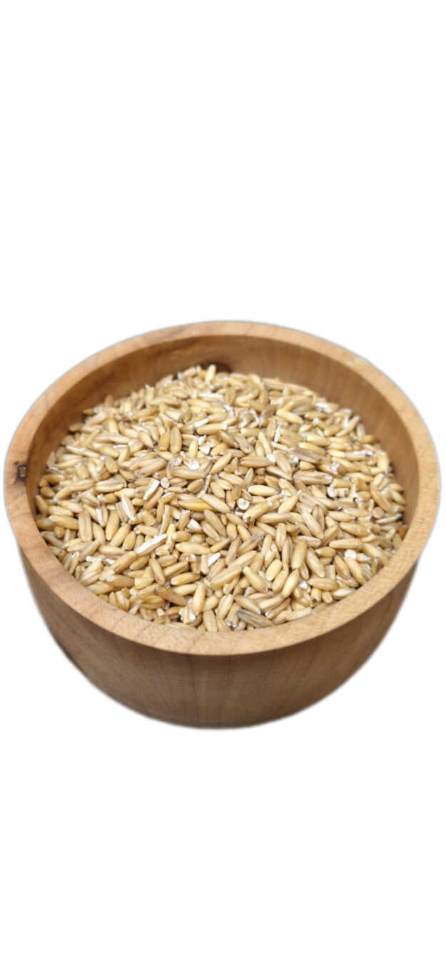 جو دوسر وارداتی پرندگان زینتی (بسته ۱۰۰ گرمی پلمپ)