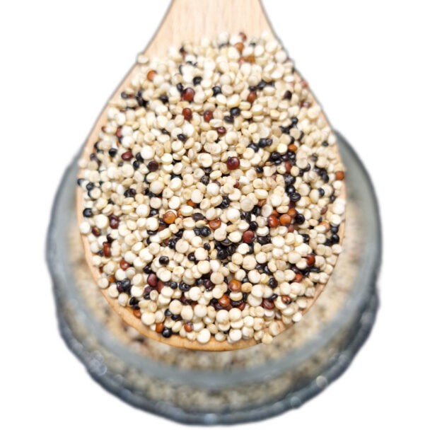 کینوا سه رنگ مخصوص پرندگان (خوراک مکمل و مغذی)